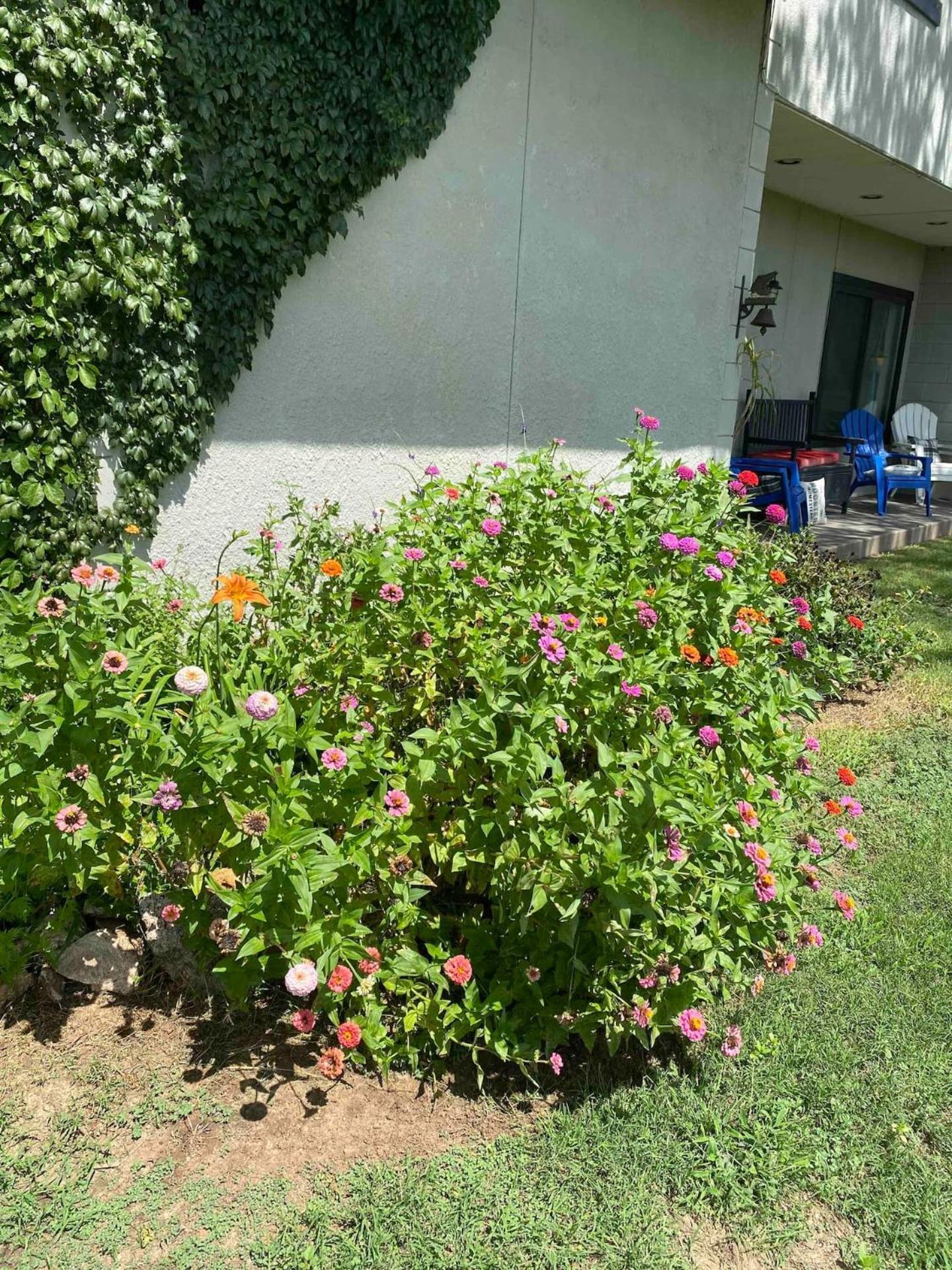 Nocona Nature Retreateclectic Country Boho Farmhouse מראה חיצוני תמונה