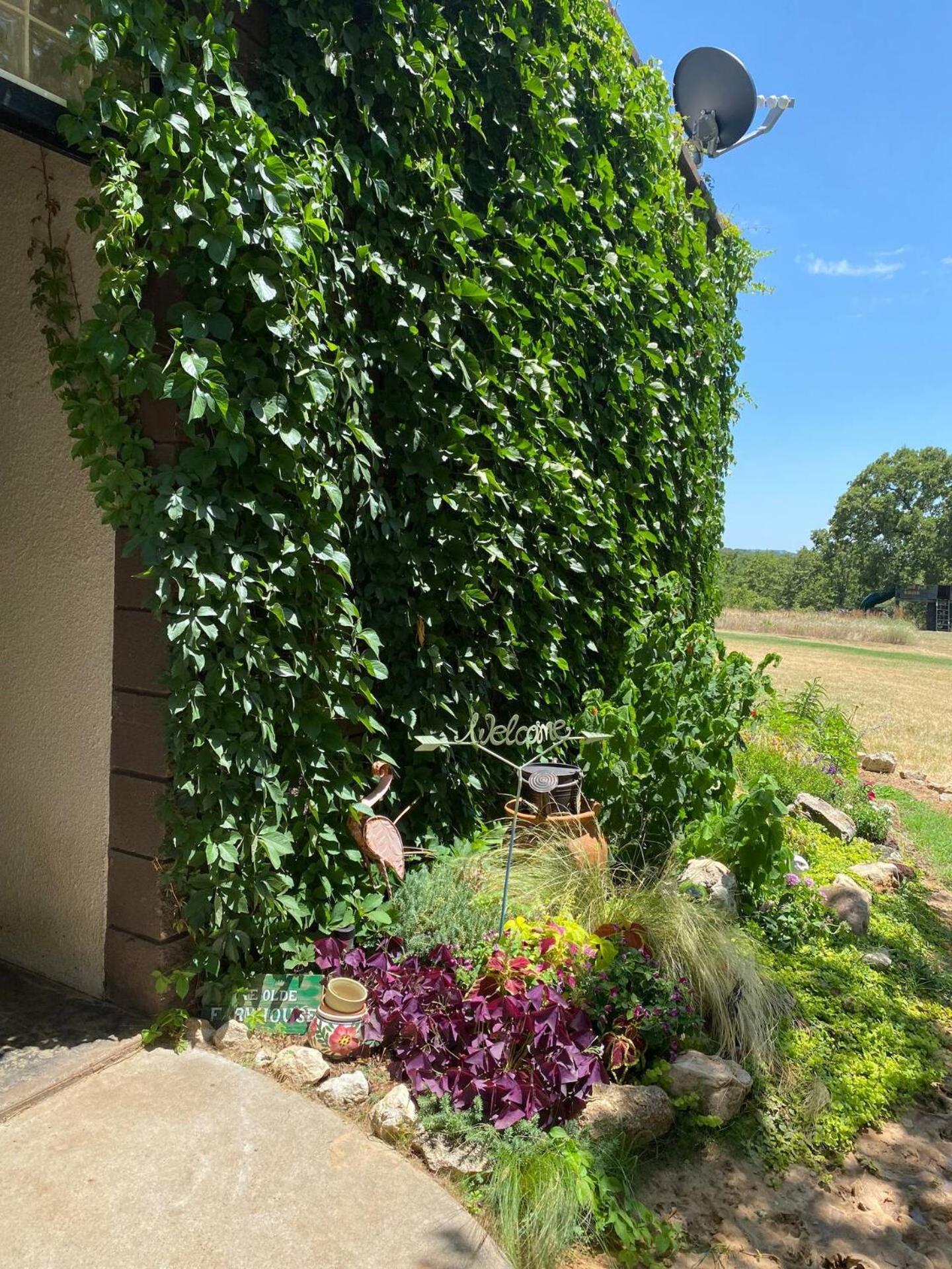 Nocona Nature Retreateclectic Country Boho Farmhouse מראה חיצוני תמונה